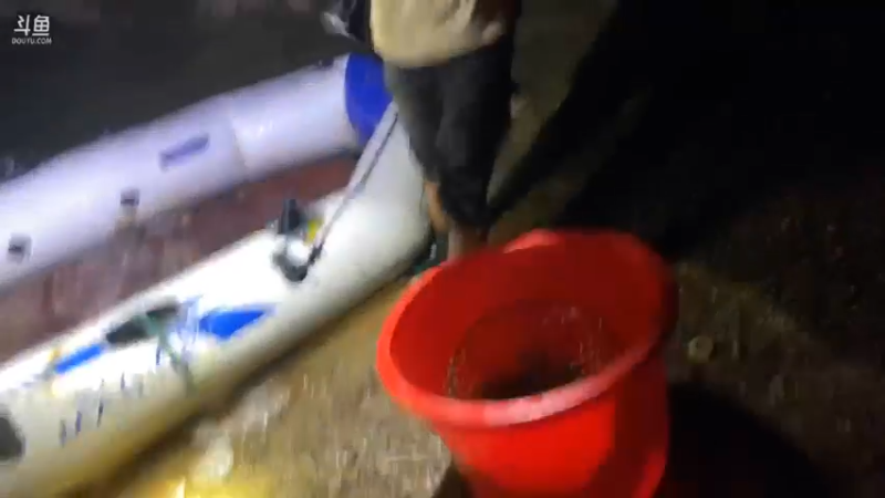 【2021-09-28 21点场】魅力生活i：今天美食全鱼宴