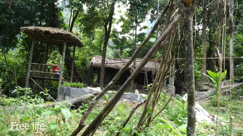 更新 磨面机器(2)深入荒野隐居修仙,建设世外桃源投个币吧