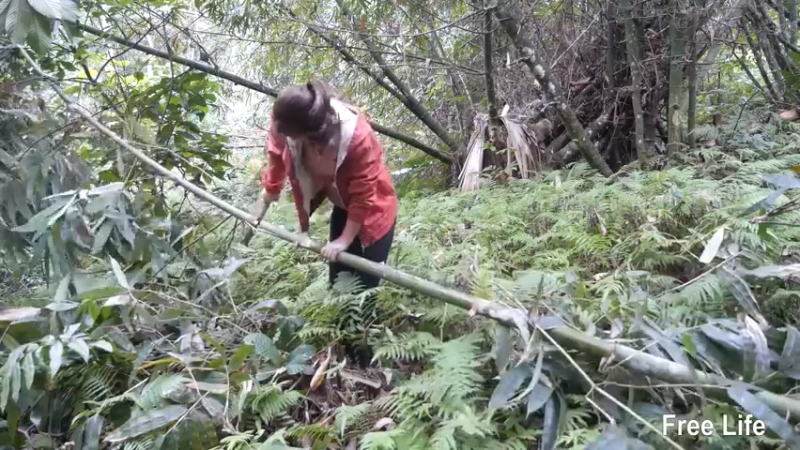 更新制作过小溪的木桥(4)深入荒野隐居修仙,建设世外桃源投个币吧