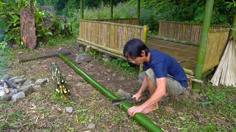 【野生放送】_竹制吊床  热带雨林与我