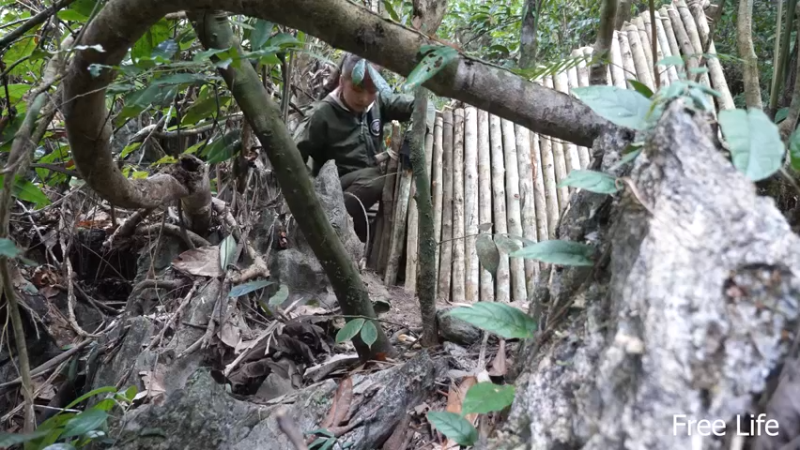 更新 给狗狗搭建狗屋(14)深入荒野隐居修仙,建设世外桃源投个币吧