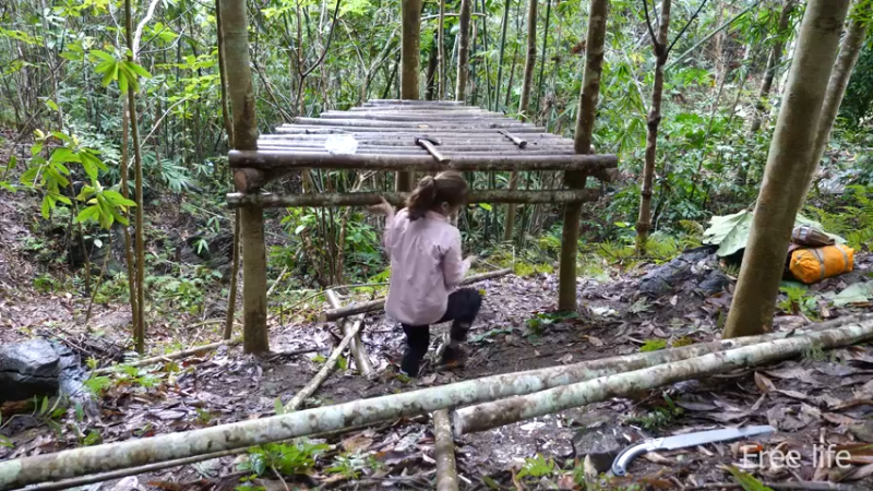 更新树屋(17)深入荒野隐居修仙,建设世外桃源投个币吧