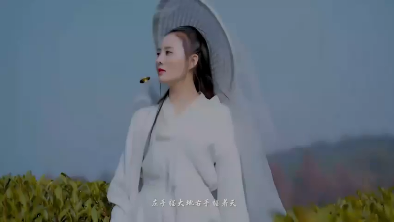 左手指月（4K高清）