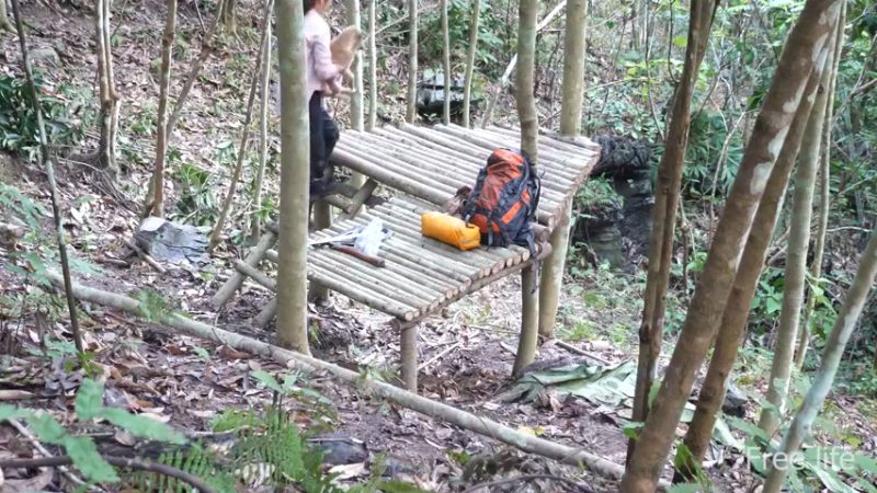 更新树屋(23)深入荒野隐居修仙,建设世外桃源投个币吧