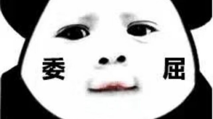 团本专业户