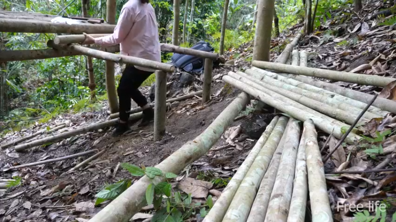 更新树屋(18)深入荒野隐居修仙,建设世外桃源投个币吧