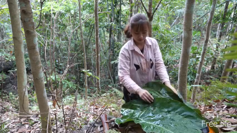 更新树屋(3)深入荒野隐居修仙,建设世外桃源投个币吧