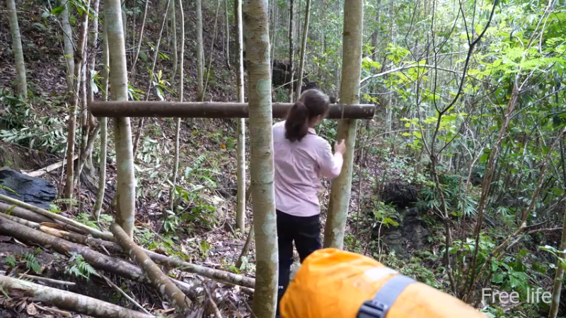 更新树屋(10)深入荒野隐居修仙,建设世外桃源投个币吧