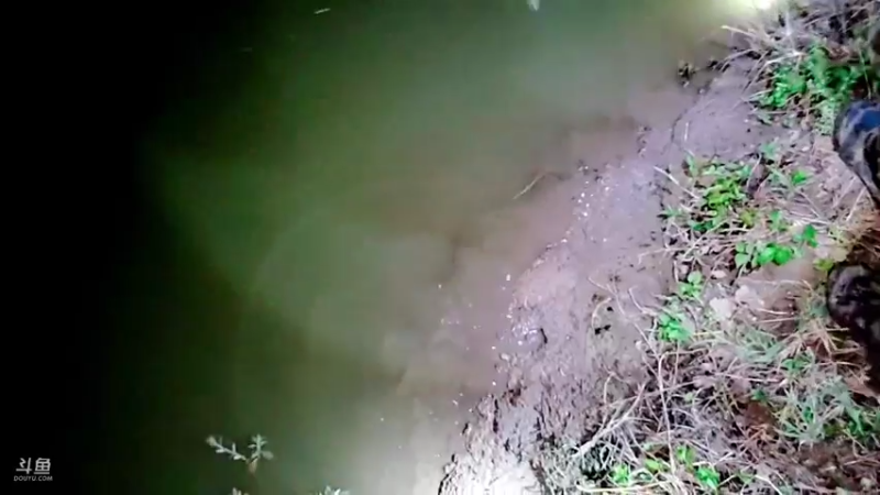 【2021-09-29 19点场】洪湖小肖：深夜怒钓麻鳝