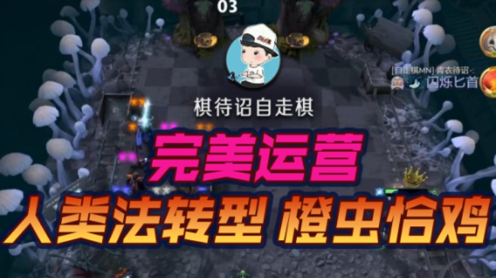 完美运营 人类法转型橙虫恰鸡