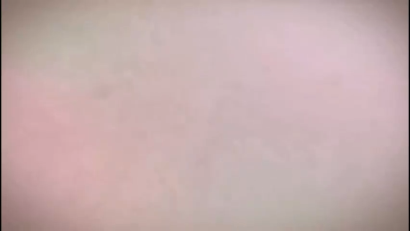 企业文化带进率土，新老同盟的交锋！.mov