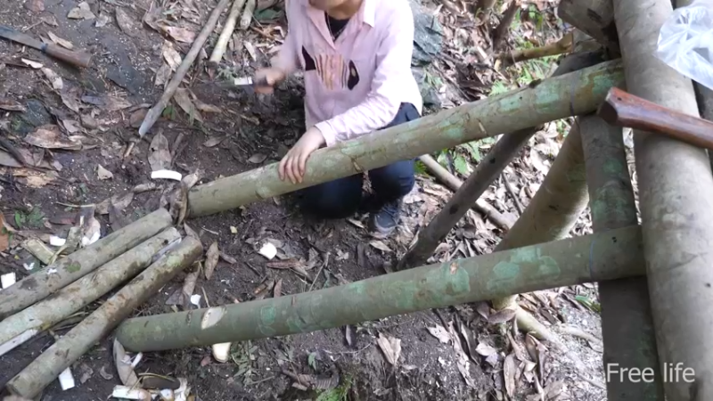 更新树屋(21)深入荒野隐居修仙,建设世外桃源投个币吧