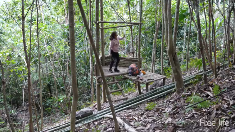 更新树屋(28)深入荒野隐居修仙,建设世外桃源投个币吧