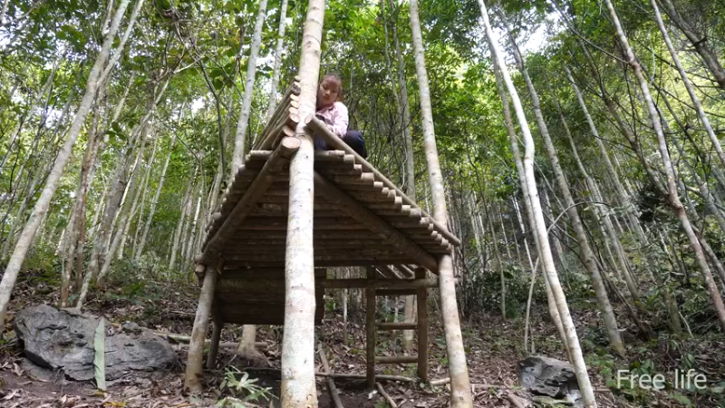更新树屋(24)深入荒野隐居修仙,建设世外桃源投个币吧