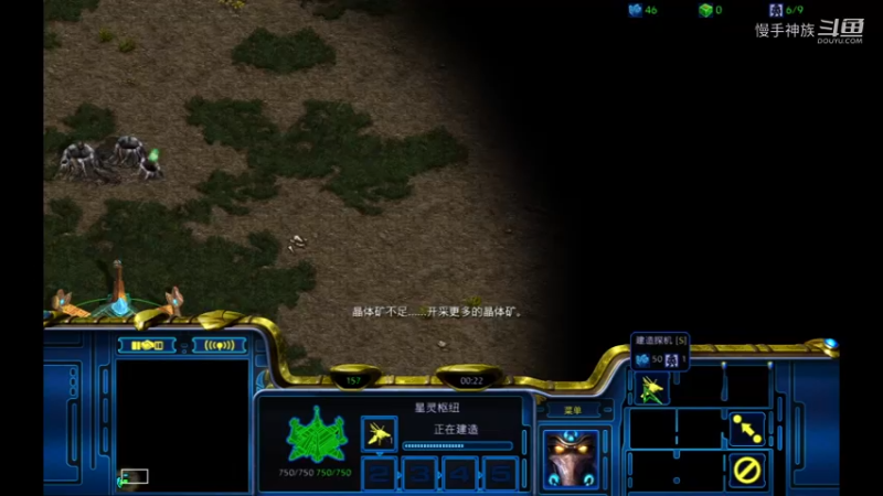 pvt天梯水螅2021-09-29