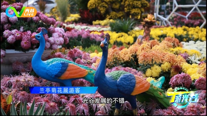 第六十四周T游光谷之国庆特辑0929