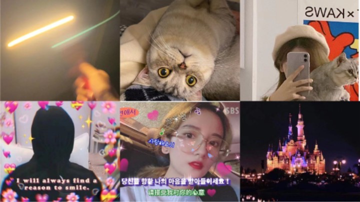 林芊又希望猪猪生日快乐一直快乐