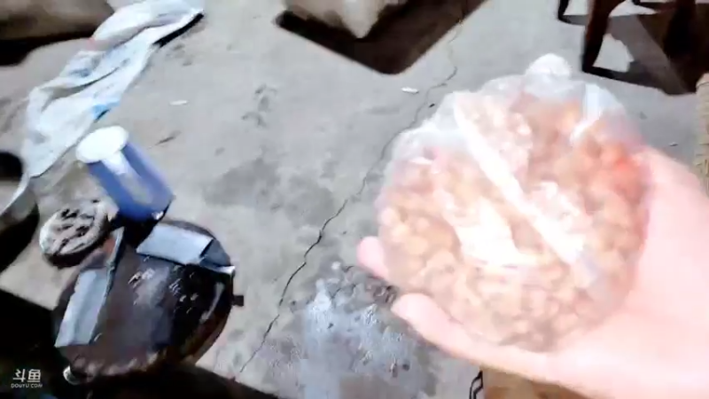 【2021-09-30 19点场】洪湖小肖：户外乡野捕鱼捉虾