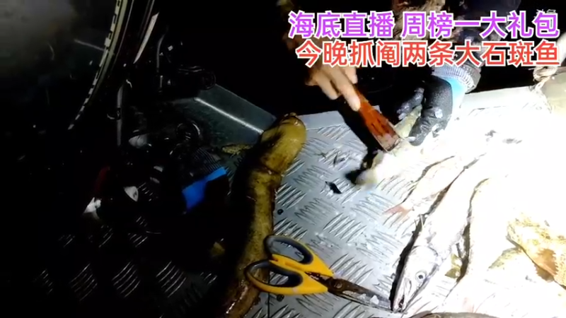 【2021-09-29 23点场】海道丶：海底 实时直播
