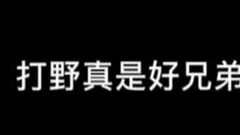 打野可真是好兄弟呢