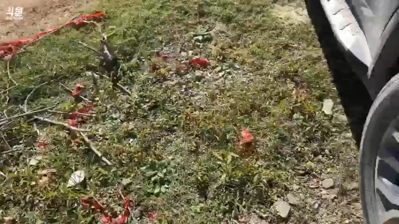 【2021-09-30 11点场】魅力生活i：今天做大哥的搬运工