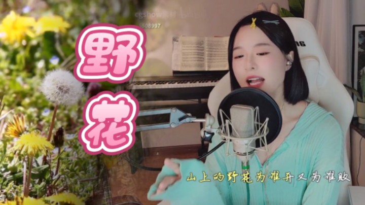小姐姐一首《野花》令人沉醉，百听不厌。