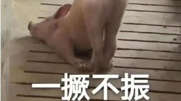 我也不想摆烂阿