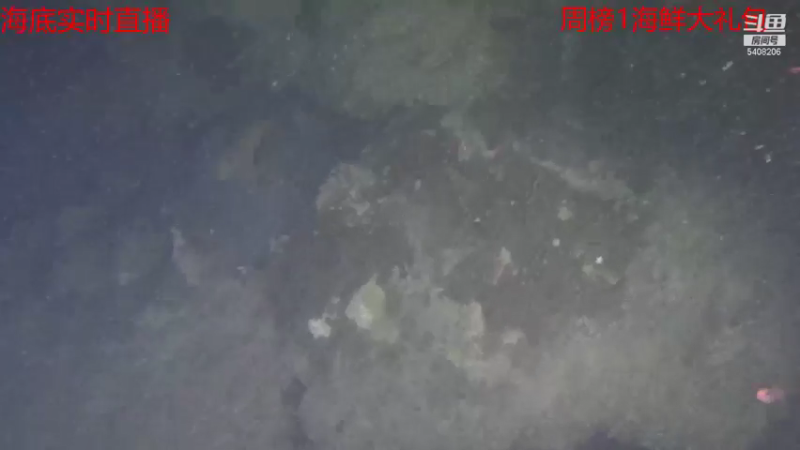 【2021-09-30 21点场】海道丶：海底 实时直播