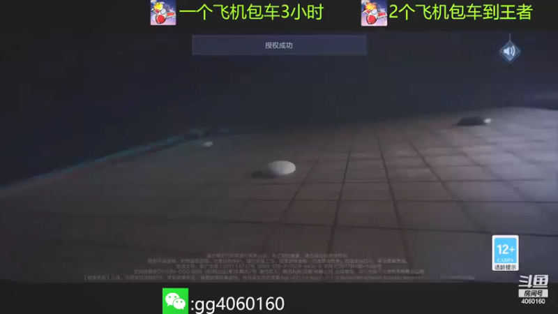 【2021-09-30 12点场】金皮皮丶：国服花木兰带粉上分有位置