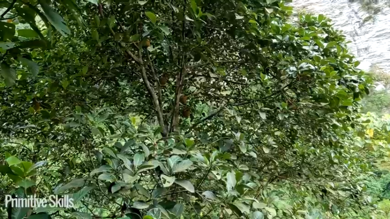 装备全靠打97管理水源4如果你一无所有，进入山野