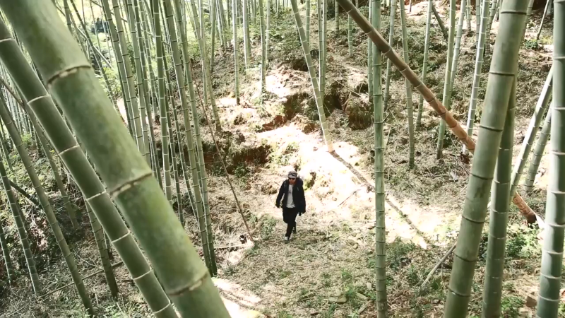 我在斗鱼看野食小哥直播美食
