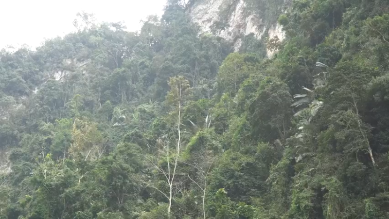 真人我的世界-空手发展-单人炼铁X5(1)节选如果你一无所有，进入山野