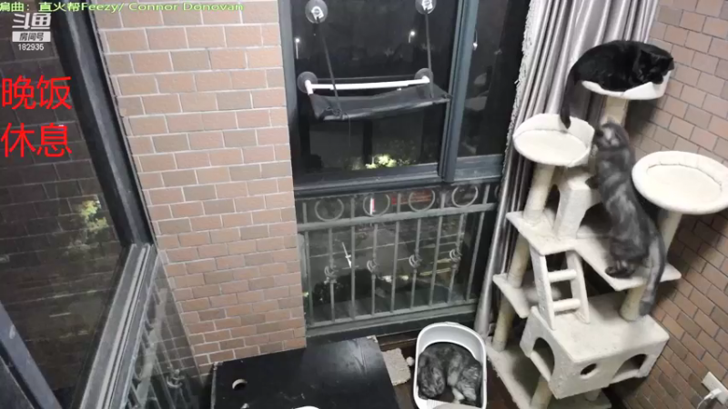 【2021-09-28 19点场】大户呀：宇宙第一辅助就是我