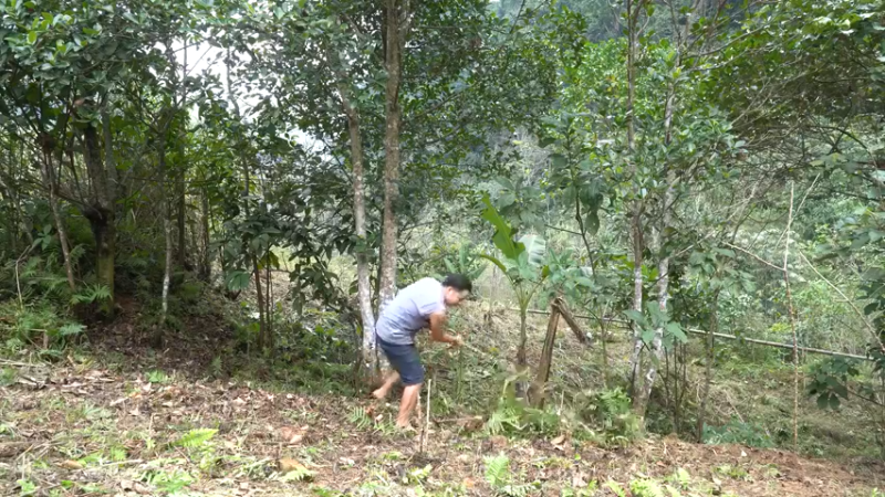 真人我的世界-空手发展-单人炼铁X6(2)节选如果你一无所有，进入山野