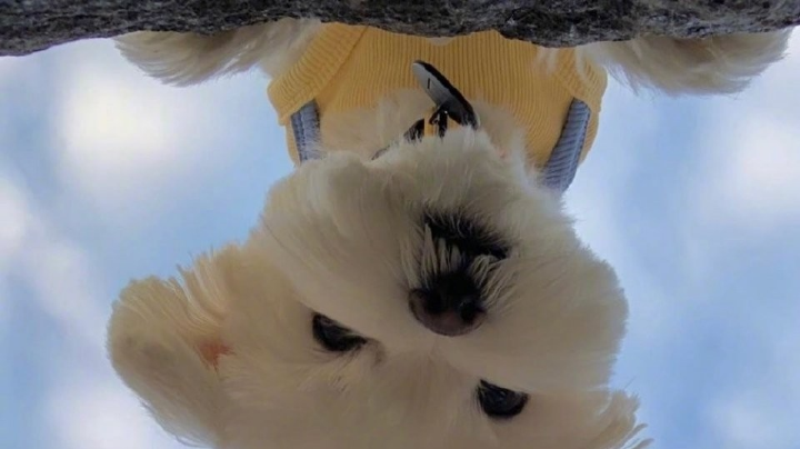 火山暴怒残暴