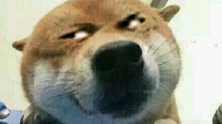 前职业选手请来的临时工