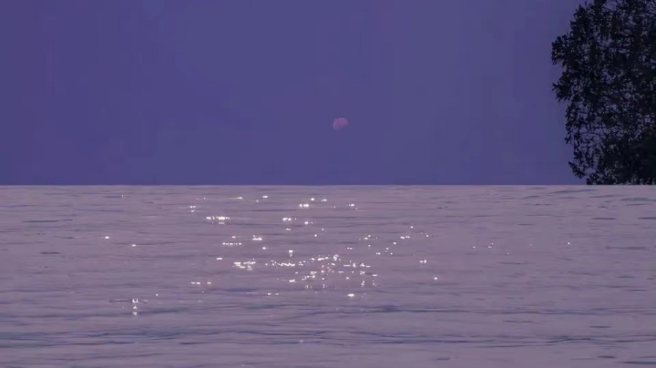 2021.09.30.1