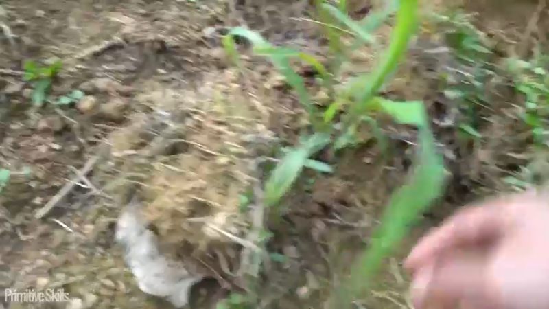 真人我的世界-空手发展-单人炼铁X5(2)节选如果你一无所有，进入山野