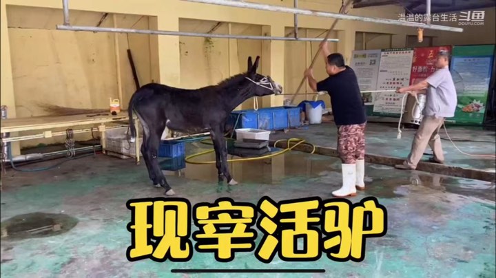 完全懵