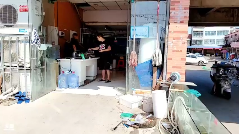 【2021-10-02 13点场】洪湖小肖：欢迎肖婆娘来洪湖做客447507