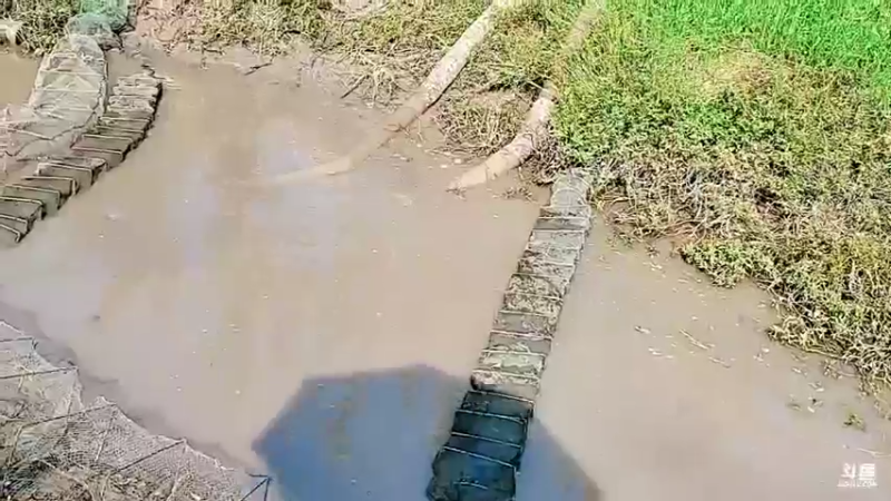 【2021-10-02 15点场】洪湖小肖：欢迎兄弟们来洪湖做客447507