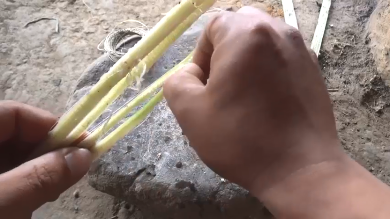 蓝光228讲究哥8鱼线现在渔具3荒野园林家点个关注吧喜欢素质三连