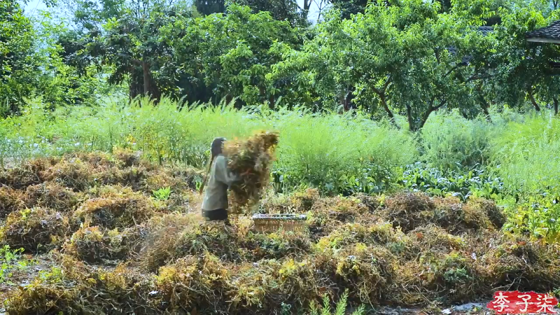 【美食】李子柒liziqi的精彩时刻 20211002 08点场