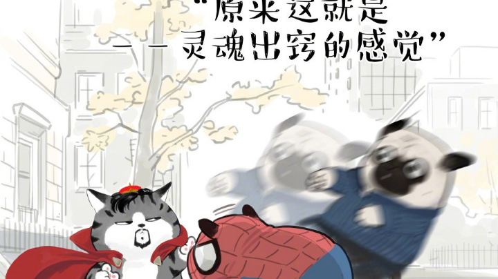 过图了