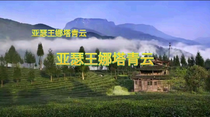 亚瑟王娜塔青云：亚瑟和凯哥对抗路抗压集锦！