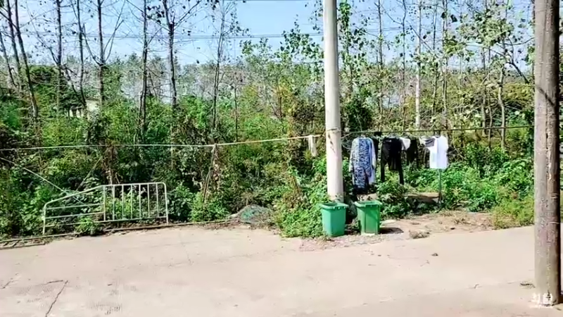 【2021-10-02 11点场】洪湖小肖：欢迎肖婆娘来洪湖做客447507