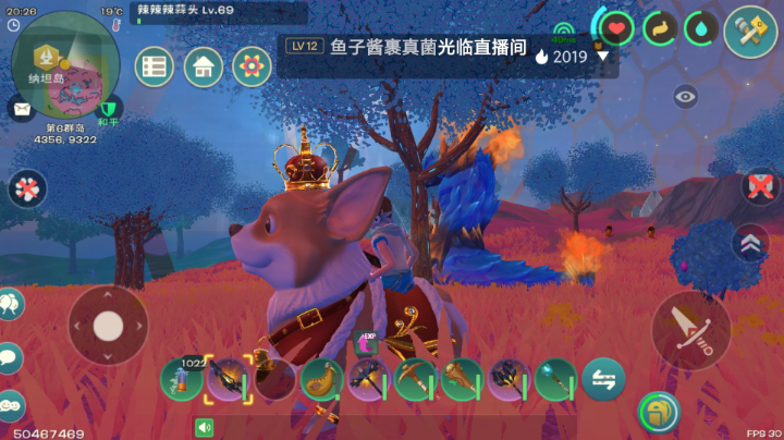 创造与魔法小短腿柯基