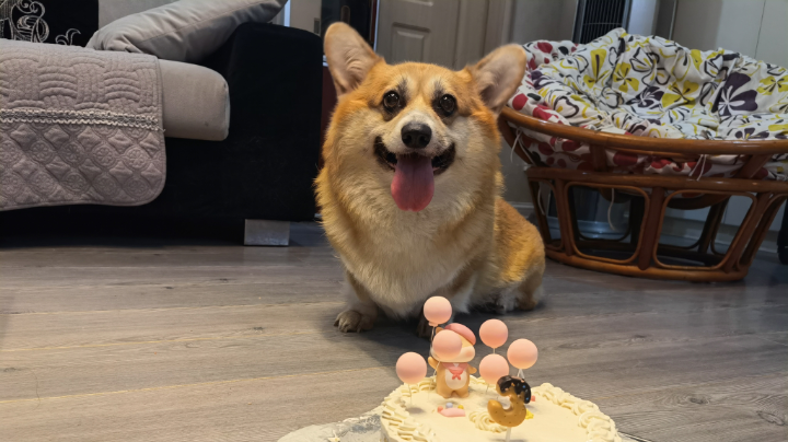 战德2