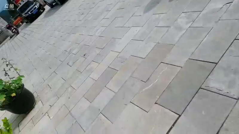 【2021-10-03 14点场】骆歆冲冲冲：骆歆：负氧离子大餐