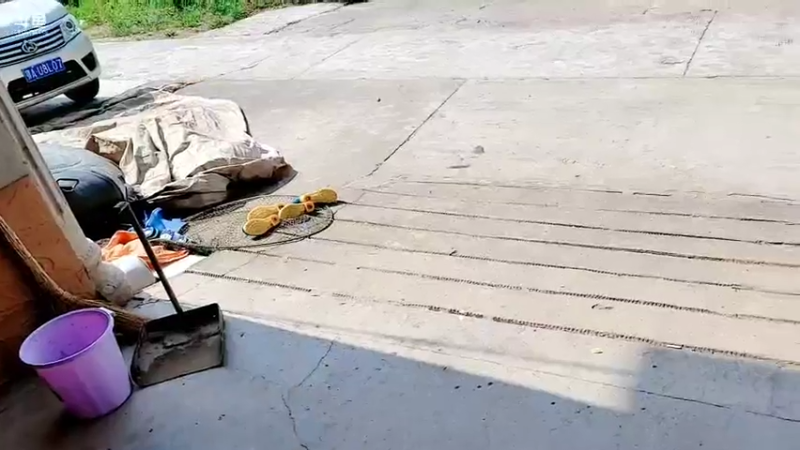 【2021-10-03 11点场】洪湖小肖：欢迎兄弟们来洪湖做客447507